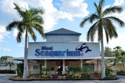Tile Installation Miami - Miami Seaquarium